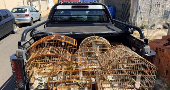 WhatsApp Image 2026 04 12 at 13.56.10