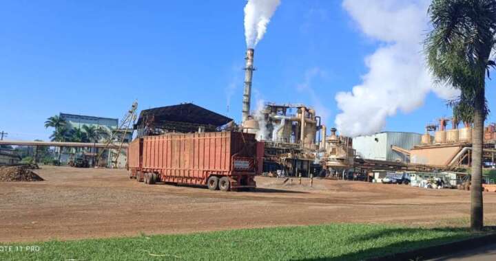 WhatsApp Image 2026 04 15 at 16.11.16