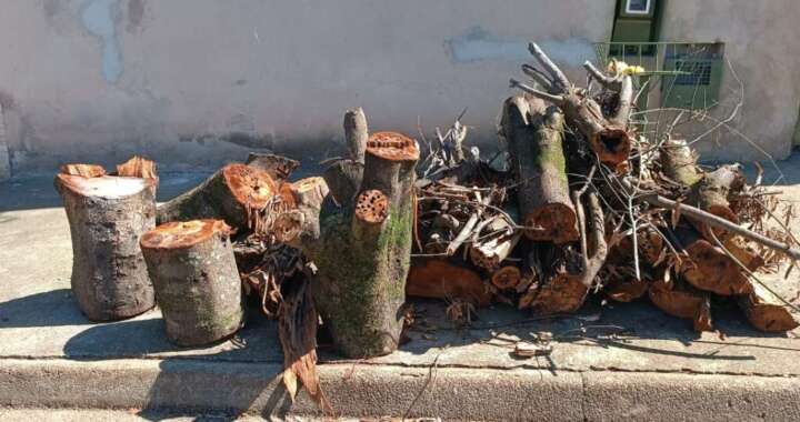 WhatsApp Image 2026 04 15 at 18.59.46