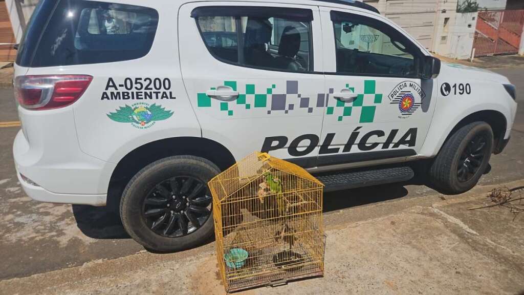 WhatsApp Image 2026 04 15 at 19.01.07