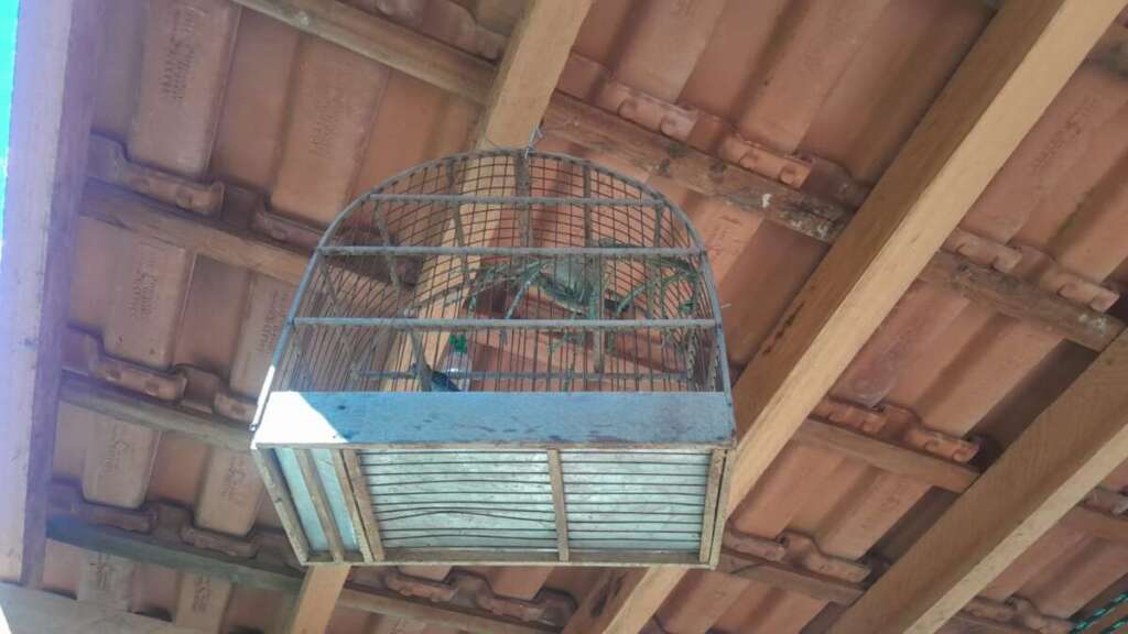 WhatsApp Image 2026 04 16 at 18.44.51