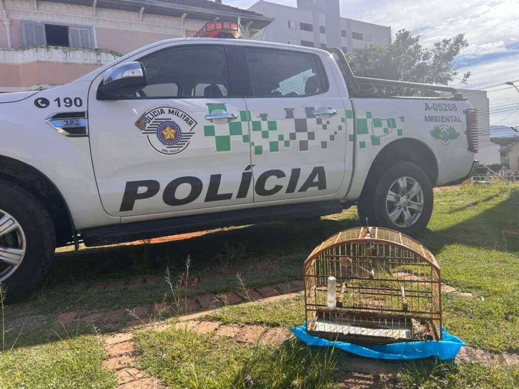 WhatsApp Image 2026 04 17 at 18.33.43