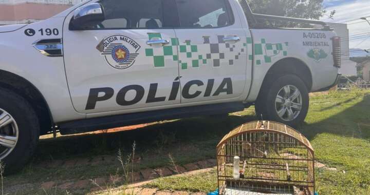 WhatsApp Image 2026 04 17 at 18.33.43