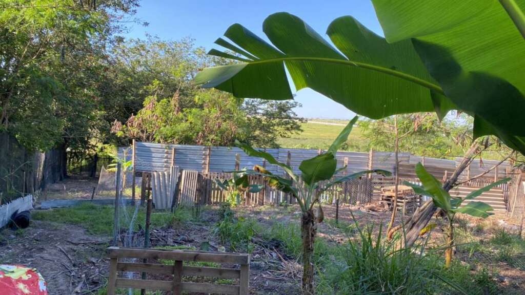 WhatsApp Image 2026 04 17 at 21.42.14 1 1