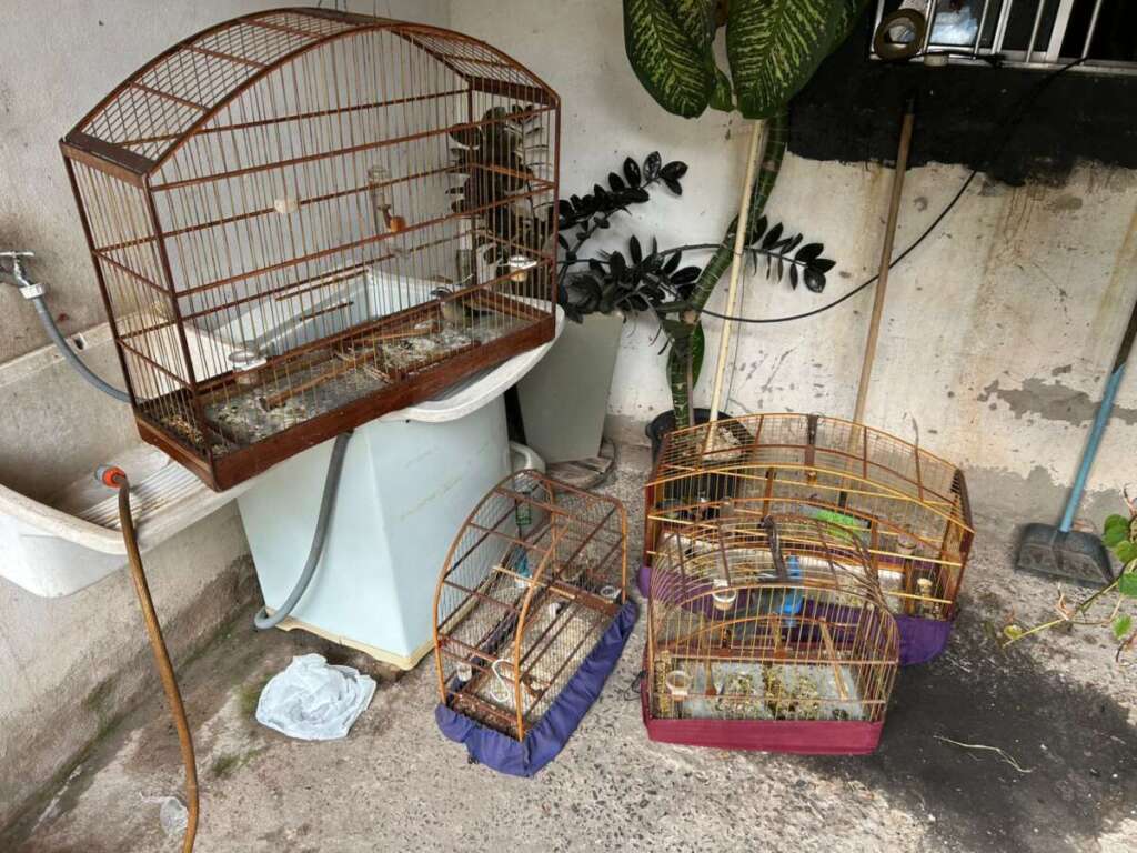 WhatsApp Image 2026 04 18 at 18.26.48