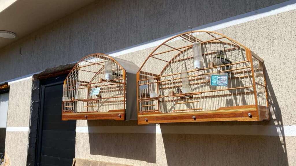 WhatsApp Image 2026 04 19 at 15.34.20 1