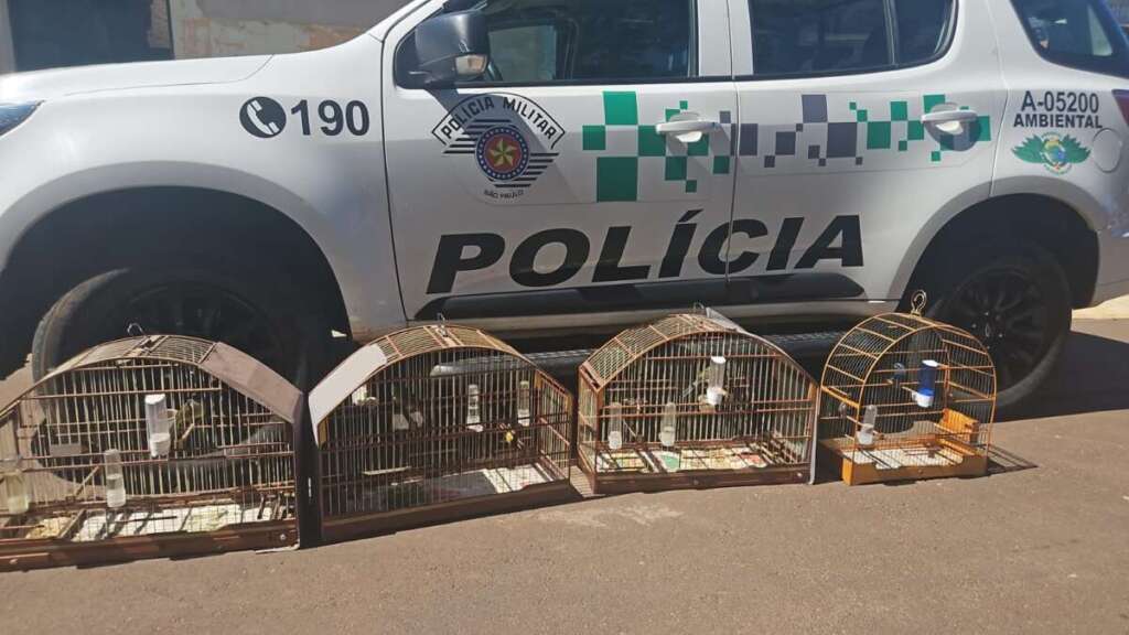 WhatsApp Image 2026 04 19 at 15.34.20