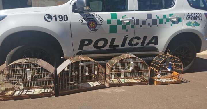 WhatsApp Image 2026 04 19 at 15.34.20