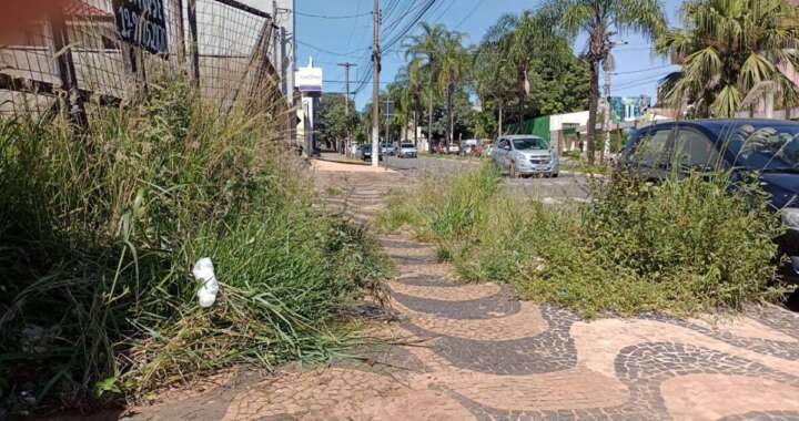 WhatsApp Image 2026 04 20 at 12.04.04