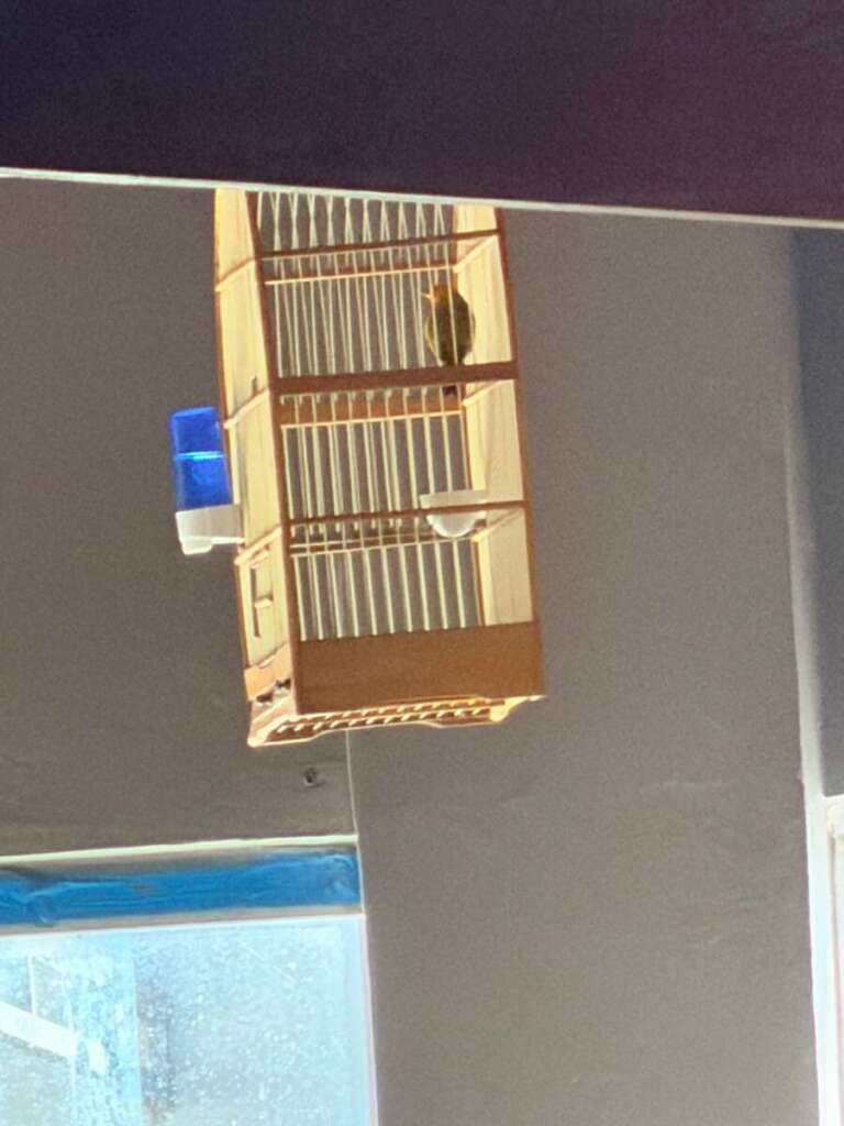 WhatsApp Image 2026 04 21 at 16.29.30 2