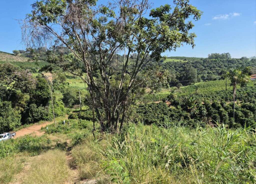 WhatsApp Image 2026 04 22 at 18.49.37