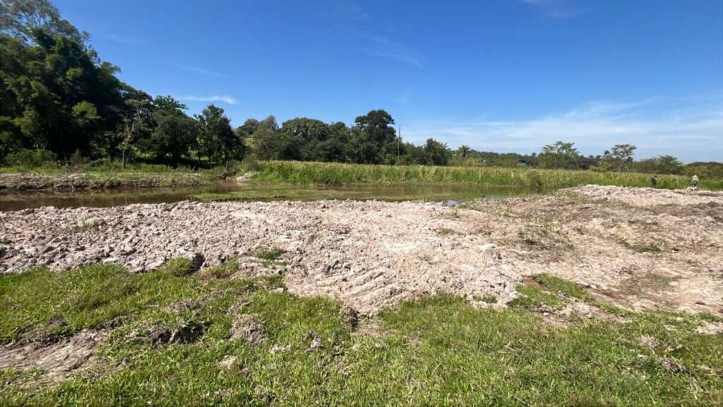 WhatsApp Image 2026 04 22 at 19.03.00