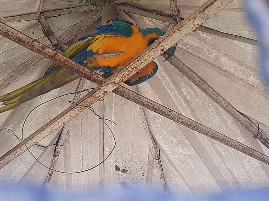 WhatsApp Image 2026 04 22 at 19.03.07 1