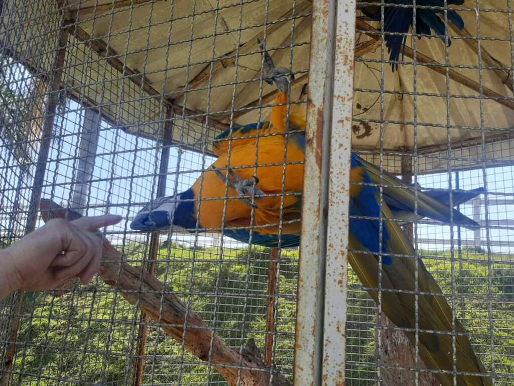 WhatsApp Image 2026 04 22 at 19.03.07