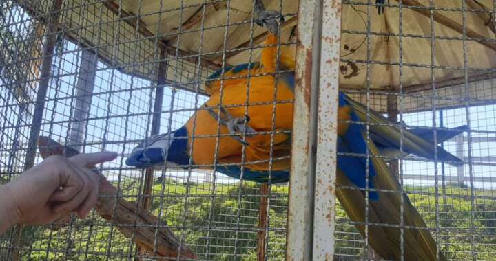 WhatsApp Image 2026 04 22 at 19.03.07