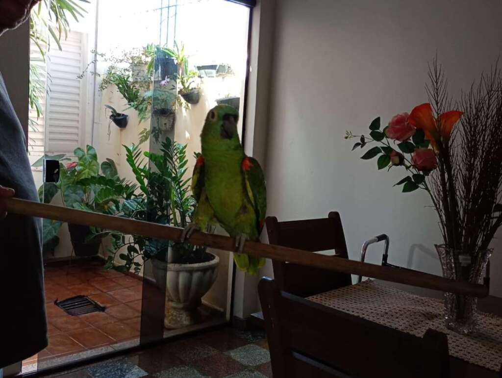 WhatsApp Image 2026 04 23 at 16.18.40 1