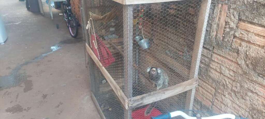 WhatsApp Image 2026 04 23 at 16.19.01 1