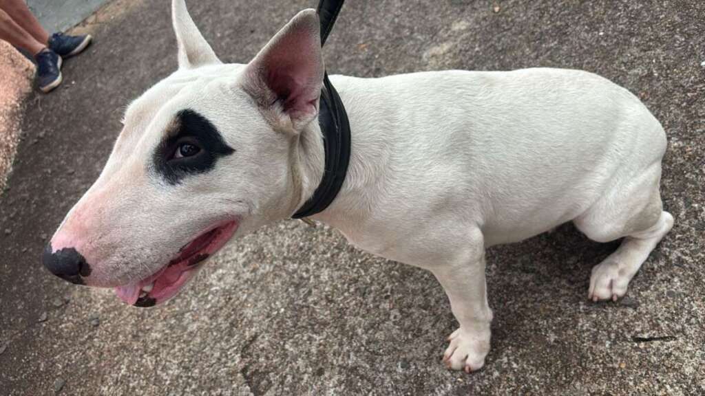 WhatsApp Image 2026 04 27 at 20.53.05