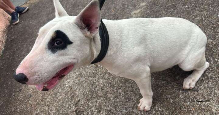 WhatsApp Image 2026 04 27 at 20.53.05