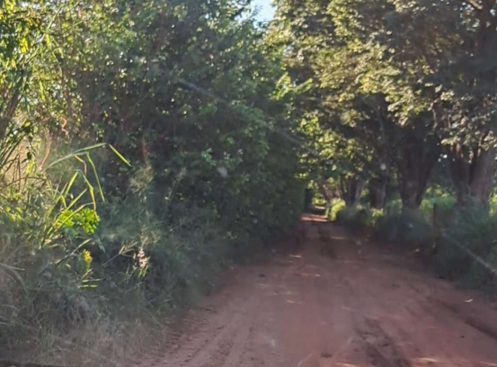 WhatsApp Image 2026 04 30 at 11.05.18 2