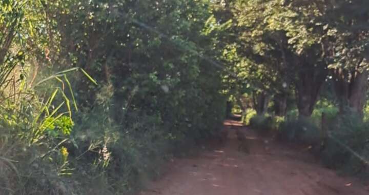 WhatsApp Image 2026 04 30 at 11.05.18 2