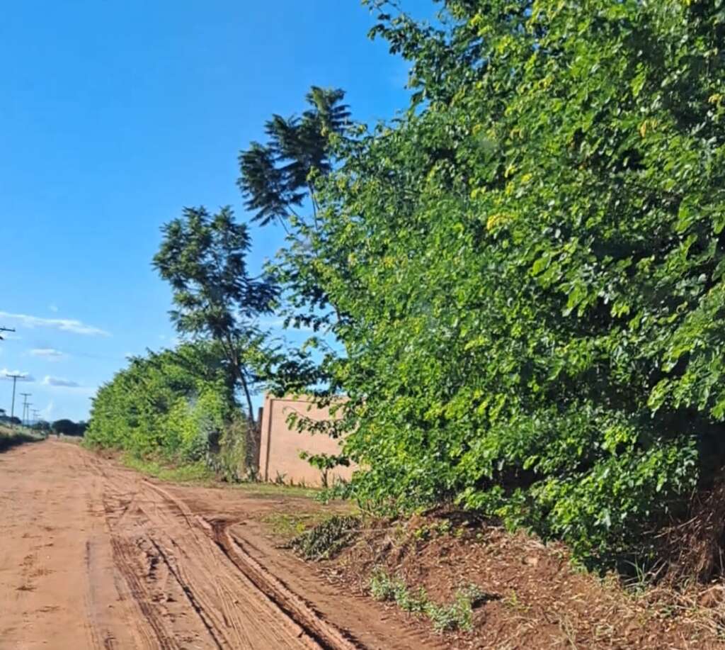 WhatsApp Image 2026 04 30 at 11.05.18 3