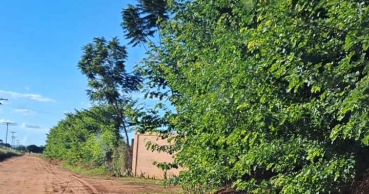 WhatsApp Image 2026 04 30 at 11.05.18 3