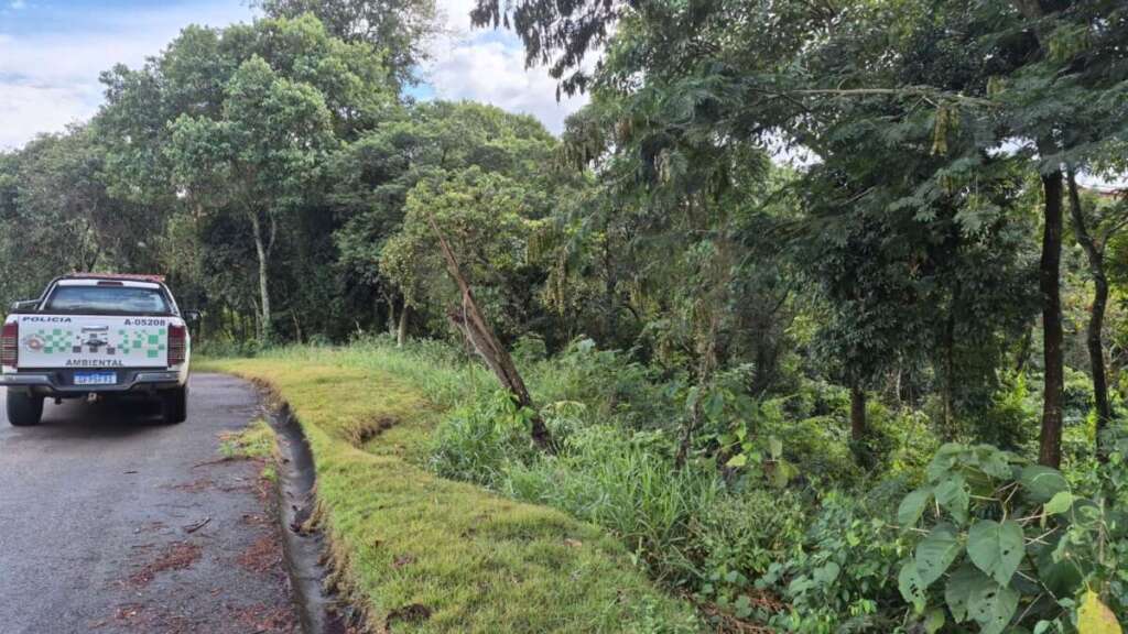 PM Ambiental apreende mais de R$ 215 kg de peixe armazenados para venda. Veja outras notícias 4 1cfda9de 59a6 4ca5 aaa4 4369886b8f41 1