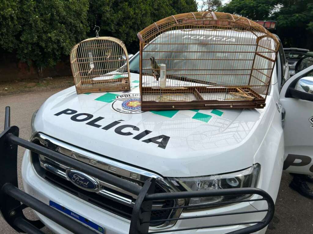 Policiais Militares Ambientais dos pelotões da 2ª Cia. PM, em três ações aplicaram R$ 3.710,00 1 4a9b815d fcd9 4ae9 8648 117459c76423