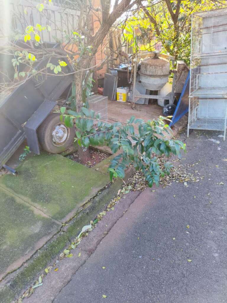 Morosidade da Prefeitura de Pirassununga gera grave problema de saúde pública no Parque Clayton Malaman 15 IMG 20260529 WA0121