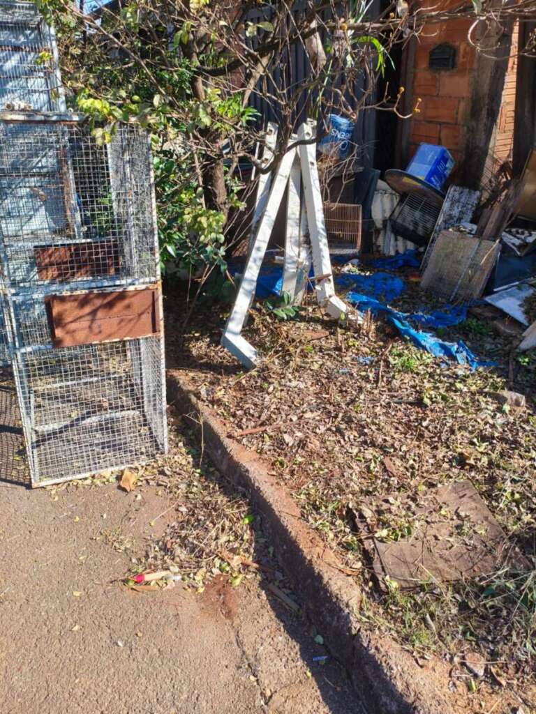 Morosidade da Prefeitura de Pirassununga gera grave problema de saúde pública no Parque Clayton Malaman 11 IMG 20260529 WA0123