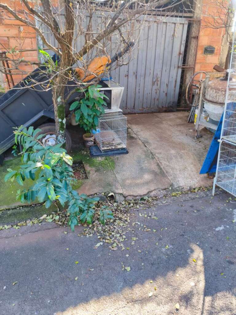 Morosidade da Prefeitura de Pirassununga gera grave problema de saúde pública no Parque Clayton Malaman 12 IMG 20260529 WA0126