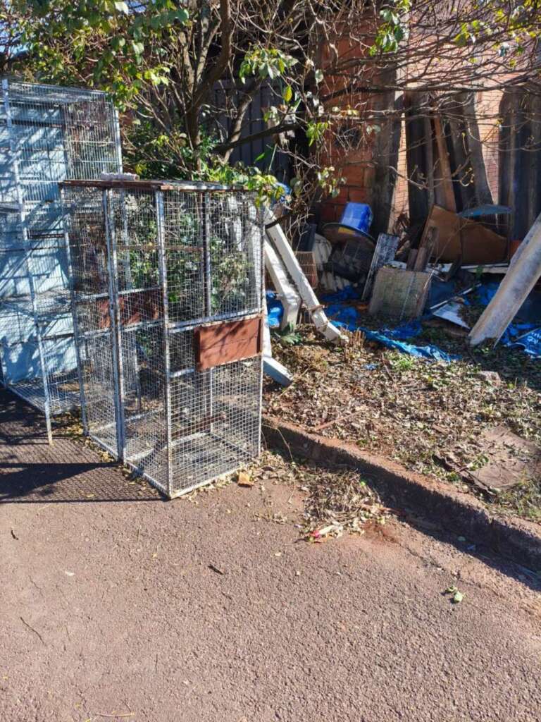 Morosidade da Prefeitura de Pirassununga gera grave problema de saúde pública no Parque Clayton Malaman 5 IMG 20260529 WA0133