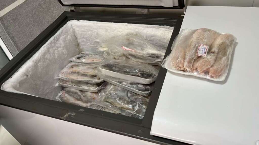 PM Ambiental apreende mais de R$ 215 kg de peixe armazenados para venda. Veja outras notícias 3 WhatsApp Image 2026 05 20 at 17.21.36 1