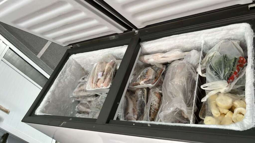 PM Ambiental apreende mais de R$ 215 kg de peixe armazenados para venda. Veja outras notícias 1 WhatsApp Image 2026 05 20 at 17.21.36