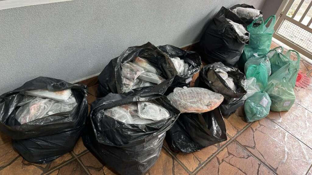 PM Ambiental apreende mais de R$ 215 kg de peixe armazenados para venda. Veja outras notícias 2 WhatsApp Image 2026 05 20 at 17.21.37 1