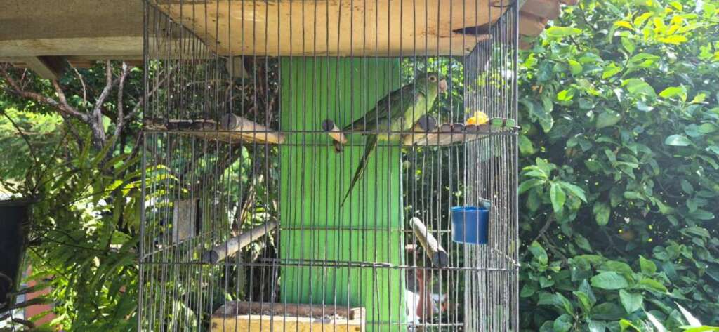 WhatsApp Image 2026 05 22 at 19.36.30