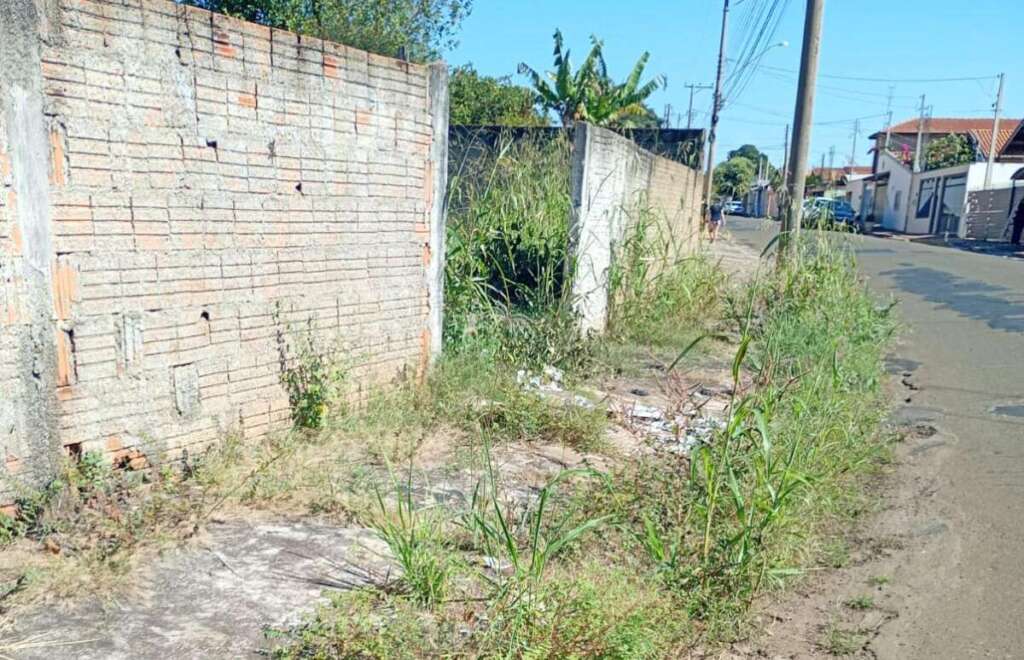 Estradas rurais intransitáveis no bairro do 'Caxeiro' e terreno abandonado na Santa Terezinha 5 WhatsApp Image 2026 05 28 at 21.04.31