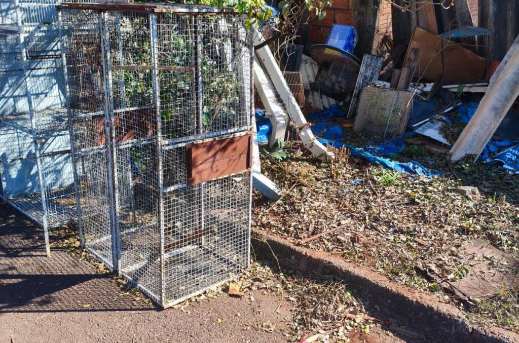 Morosidade da Prefeitura de Pirassununga gera grave problema de saúde pública no Parque Clayton Malaman 1 WhatsApp Image 2026 05 29 at 22.10.31