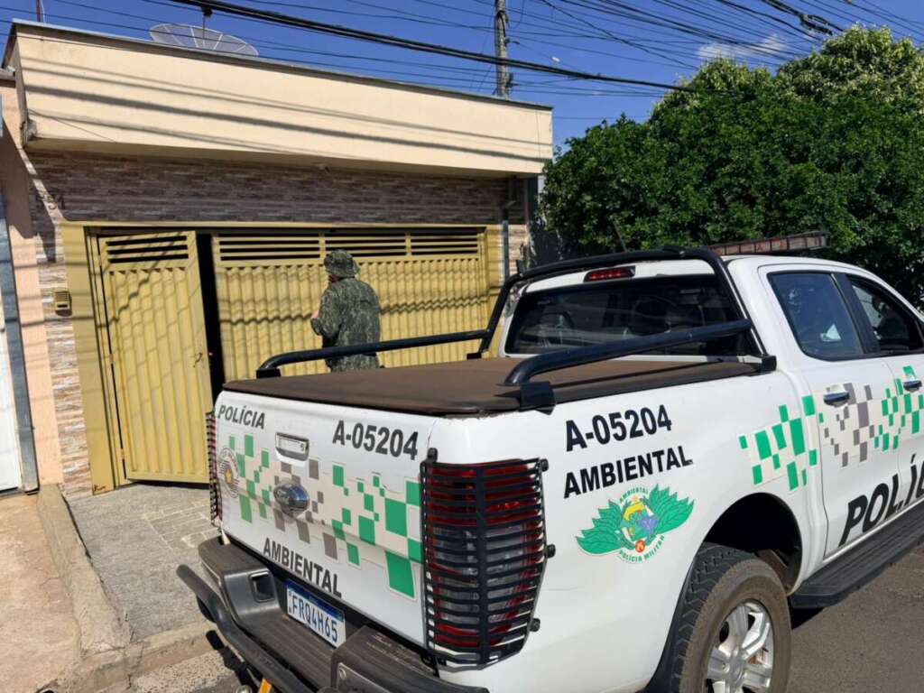 ad0304d6 4632 4c11 8171 9d595e5cc6c8