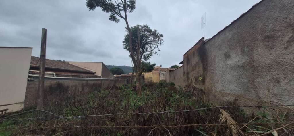 Polícia Militar Ambiental Realiza Entrevistas e Intensifica Operações de Fiscalização e Educação na Região 6 51b2d1af 9e63 497a 8175 afa5d00f2945