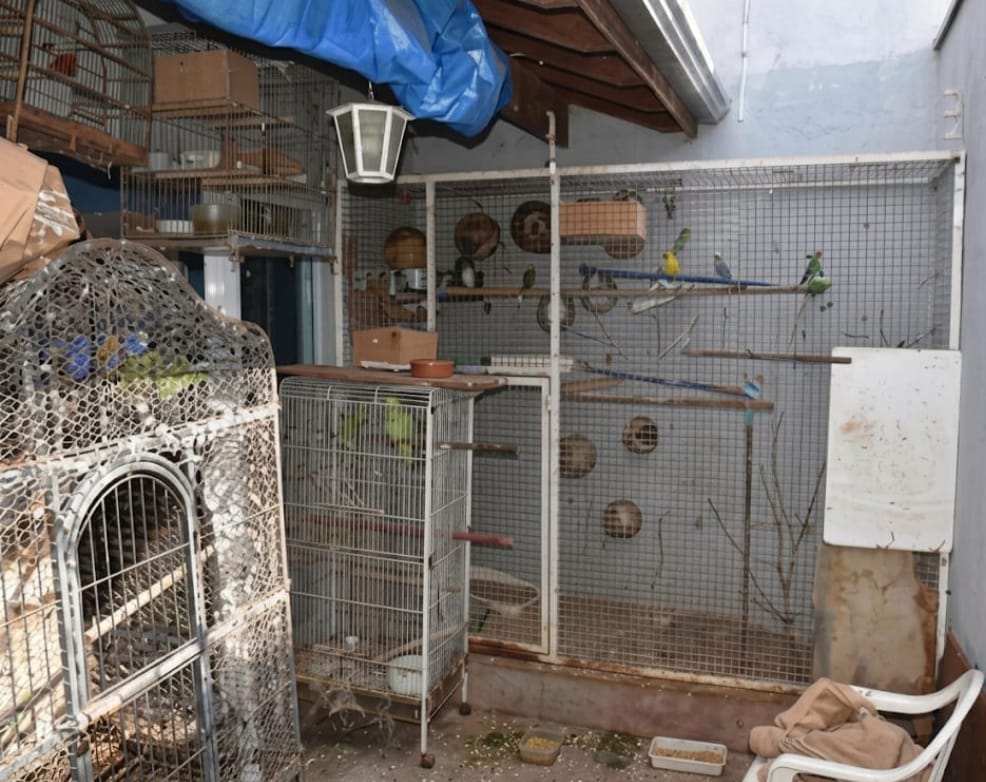 2ª Cia PMAmb, aplica R$ 414 Mil em multas na Semana do Meio Ambiente 2026 7 6b15886e 2ef0 4b0b adfa b487d2f1b961