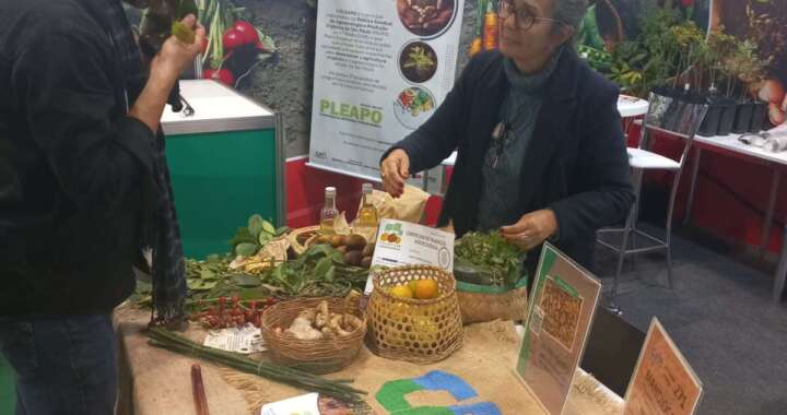 Estande da CATI na 19a Bio Brazil Fair