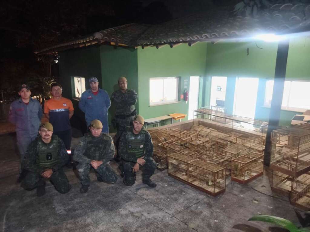 2ª Cia PMAmb, aplica R$ 414 Mil em multas na Semana do Meio Ambiente 2026 6 WhatsApp Image 2026 06 09 at 21.29.32 1