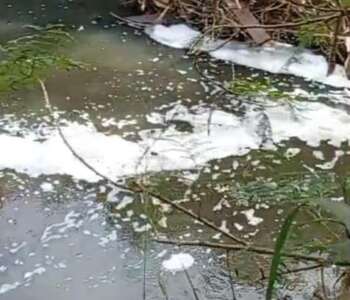 WhatsApp Image 2026-06-11 at 10.50.21