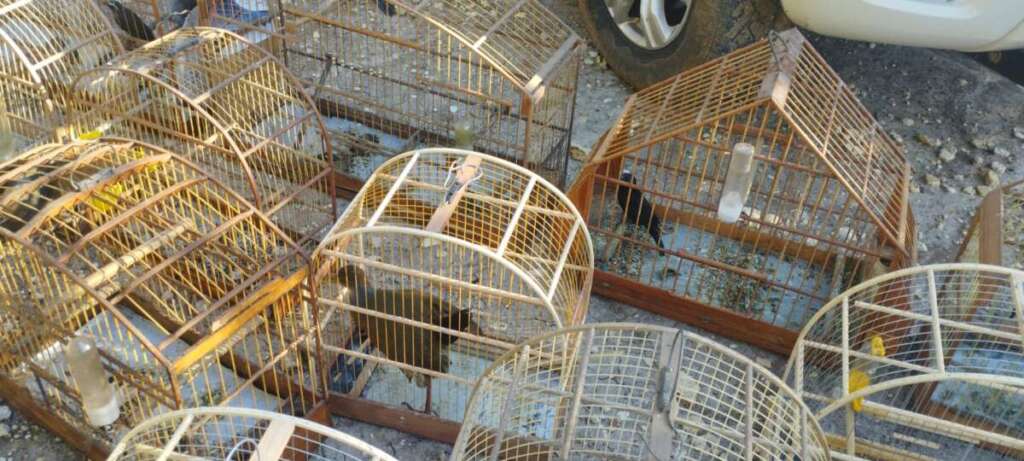 Polícia Ambiental participa de reunião com GAEMA e aplica R$ 15,5 mil em multas 3 WhatsApp Image 2026 06 17 at 18.36.58