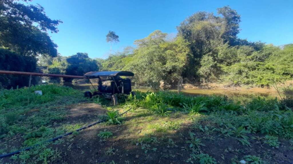 Polícia Ambiental aplica multa de R$ 87 mil por desmatamento ilegal em Monte Mor 1 WhatsApp Image 2026 06 19 at 15.37.15 2