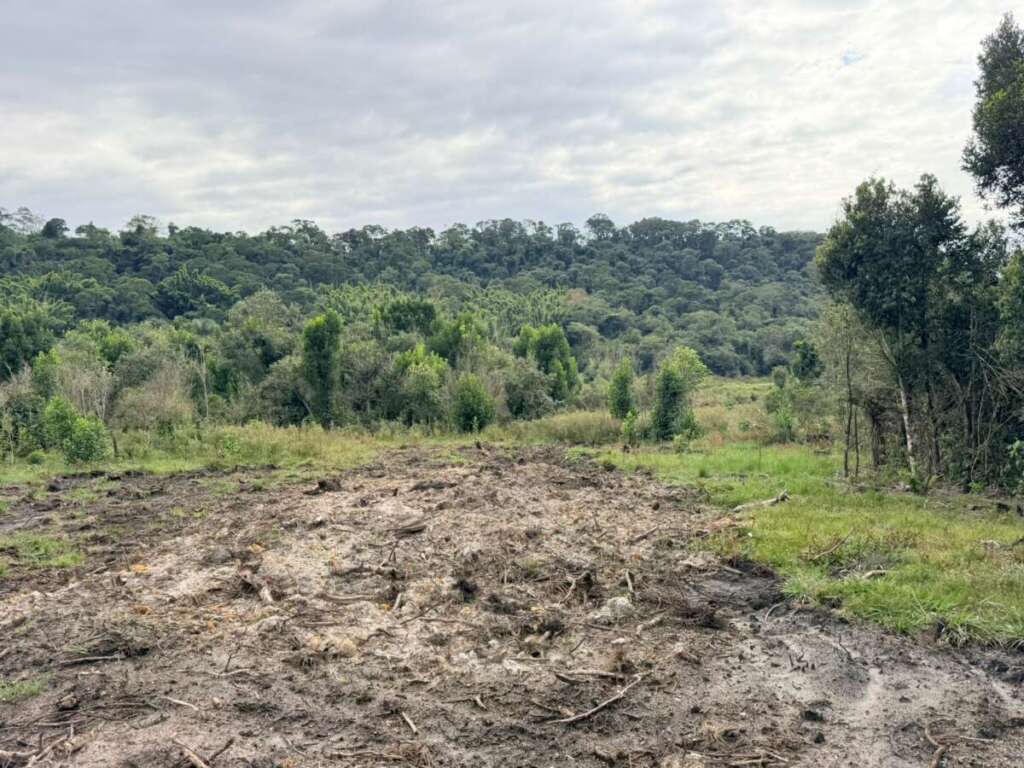 Polícia Militar Ambiental da 2ª Cia (Piracicaba) intensifica Fiscalização e Aplica Mais de R$ 100 mil em multas 3 WhatsApp Image 2026 06 20 at 18.25.49