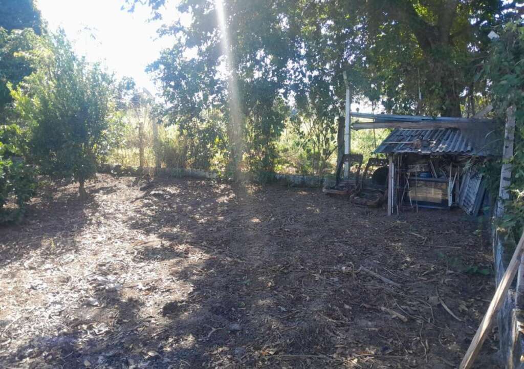 Polícia Militar Ambiental da 2ª Cia (Piracicaba) intensifica Fiscalização e Aplica Mais de R$ 100 mil em multas 7 WhatsApp Image 2026 06 21 at 19.02.16