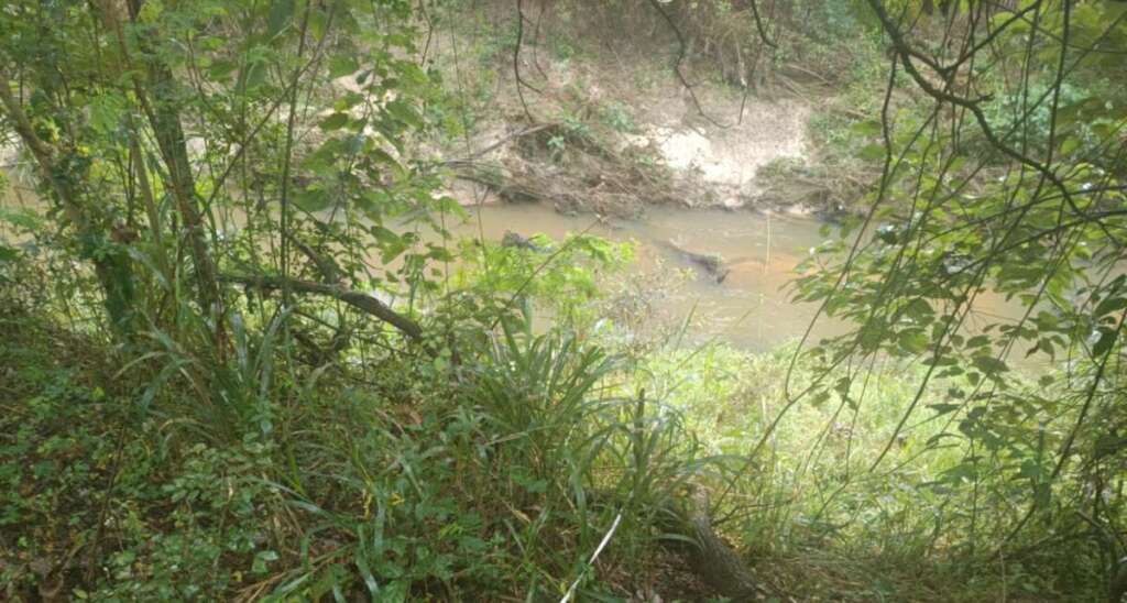 Ações da Polícia Militar Ambiental resultam em multas e apreensões por desmatamento ilegal 4 WhatsApp Image 2026 06 23 at 19.21.02